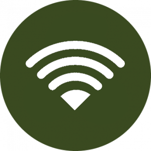 Fiber Icon